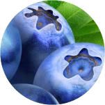 blueberries