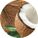 coconut