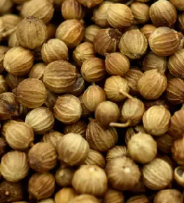 Coriander Seeds