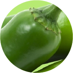 jalapeno peppers