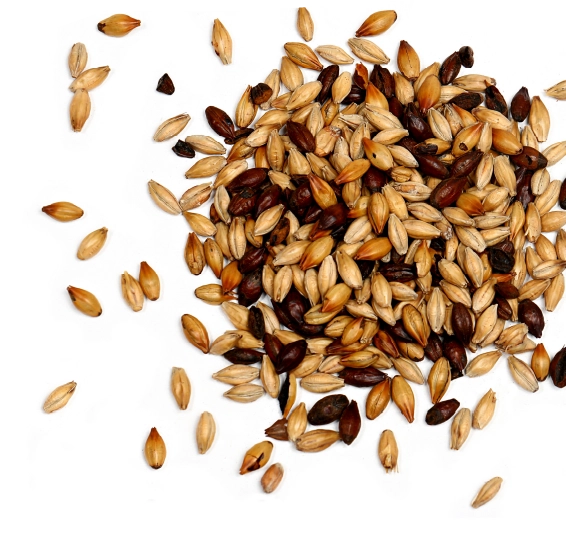 grains