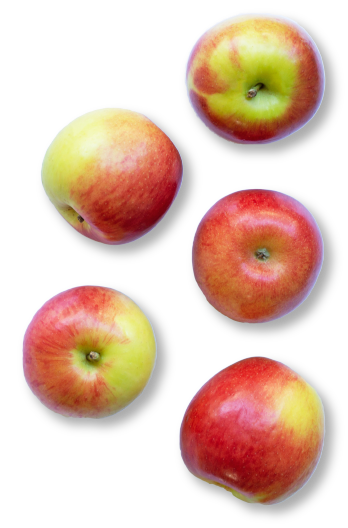 apples