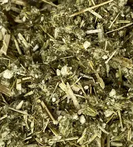 Dried Mugwort