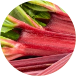 rhubarb